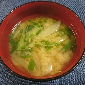 豆苗と大根のお味噌汁